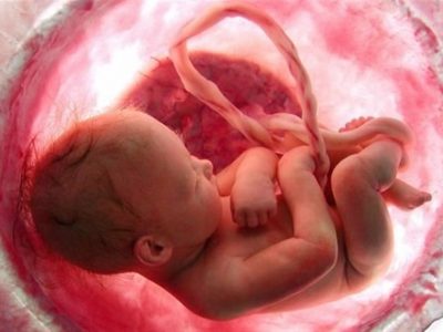 عکس نوشت| سقط جنین ممنوع است
