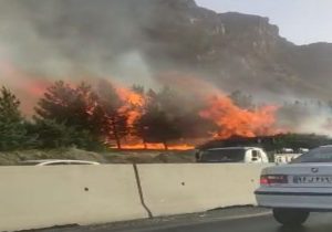 ماجرای حضور نیافتن آتش‌نشانی در آتش‌سوزی درختان کوه صفه اصفهان