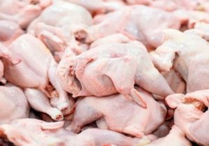 حداقل واحد صنفی برای فروش گوشت سفید باید ۲۰ متر باشد/ گوشت مرغ به فراوانی در بازار موجود است