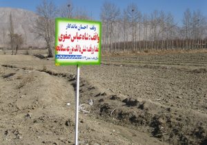 ۴۰ درصد از موقوفات فلاورجان سند دارد/نقشه برداری موقوفه مسجد امام اصفهان انجام شد