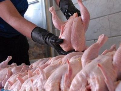 اقدامی که برای کنترل قیمت مرغ در بازار شب عید صورت نگرفت/ راهکار مسئولان: اگر قیمت مرغ در بازار پایین نیامد، قیمت مصوب را افزایش می دهیم!