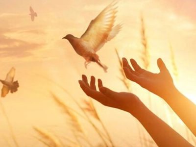 نجفآبادیها گل کاشتند/ نجات بانوی محکوم به اعدام در روز مادر