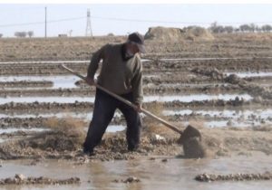 رضایت حداکثری حقابه بران شرق از توزیع آب محقق شد