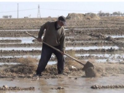 رضایت حداکثری حقابه بران شرق از توزیع آب محقق شد