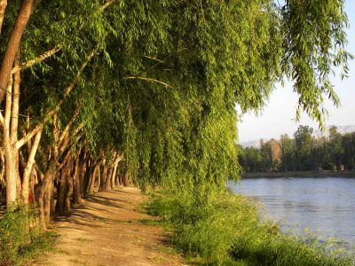 عکس نوشت| احیای دوباره ناژوان در گرو جریان دائمی زنده رود است