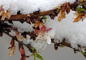 عکس نوشت| افت محسوس دما و یخبندان مهمان پایان هفته اصفهانی ها