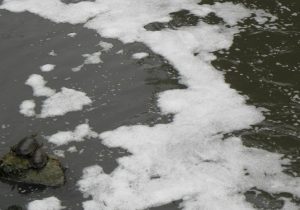 عکس نوشت| علت تغییر رنگ آب زاینده‌رود آلودگی نفتی نیست