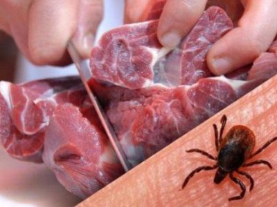 عبور گوشت از «پیش سرد»، یکی از راه های مهم در پیشگیری از تب کریمه کنگو