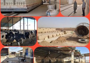 پایش واحدهای خدماتی و صنعتی در شهرستان برخوار