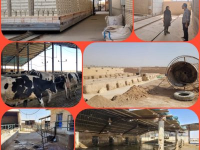 پایش واحدهای خدماتی و صنعتی در شهرستان برخوار