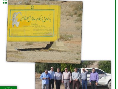 ضرورت همکاری نزدیک شهرداری بهارستان با اداره حفاظت محیط زیست