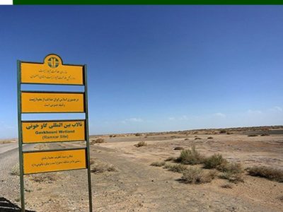 سهم ناچیز تالاب بین المللی گاوخونی از بارندگی های اخیر