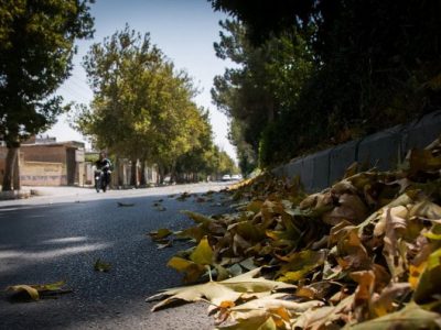 عکس نوشت| پاییز زودرس به جان درختان چنار اصفهان افتاد