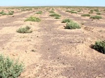 کنترل و تثبیت کانون های داخلی گرد و غبار با اجرای برنامه ۱۰ ساله