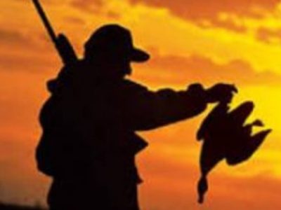 عکس نوشت| پروانه برای شکار در دو سال گذشته صادر نشده است