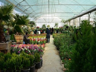 برپایی ۳۰ غرفه مشاغل خانگی در بازار گل‌وگیاه همدانیان