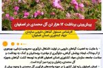 عکس نوشت| پیش‌بینی برداشت ۱۲ هزار تن گل محمدی در اصفهان