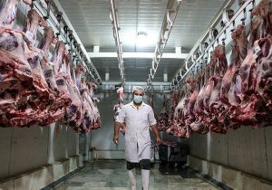 خروج ۹۰ هزار کیلوگرم  گوشت آلوده از چرخه مصرف با نظارت دامپزشکی در استان اصفهان