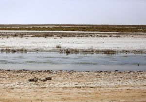 دیدار تخصصی مسئولان قضایی استان اصفهان از تالاب بین المللی گاوخونی
