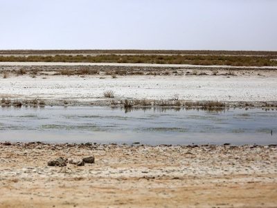 دیدار تخصصی مسئولان قضایی استان اصفهان از تالاب بین المللی گاوخونی
