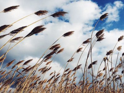 باران و برف مهمان اصفهان می شود