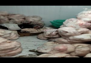 کشف و معدوم سازی بیش از ۲ تن گوشت قرمز و دنبه غیر قابل مصرف در شهرستان شهرضا