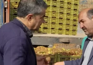 تداوم خدمت رسانی در نظارت های تعزیرات حکومت