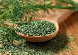 خشک کردن شوید، کار در منزل تعدادی از بانوان کوهپایه ای