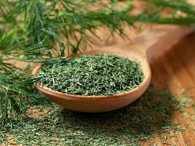 خشک کردن شوید، کار در منزل تعدادی از بانوان کوهپایه ای