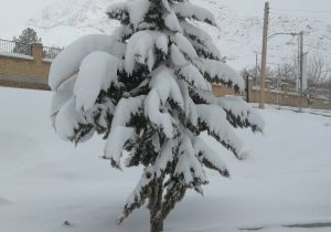 فریدونشهر سردترین نقطه استان اصفهان