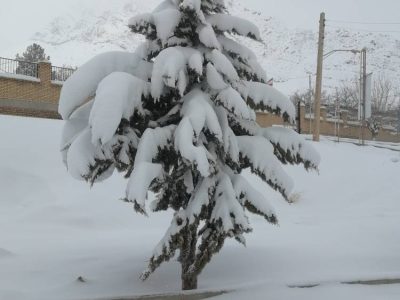 فریدونشهر سردترین نقطه استان اصفهان