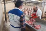 نظارت بهداشتی بر استحصال حدود ۴ هزار تن گوشت قرمز در کشتارگاه دام شهرستان مبارکه