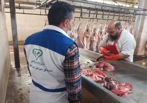 نظارت بهداشتی بر استحصال حدود ۴ هزار تن گوشت قرمز در کشتارگاه دام شهرستان مبارکه