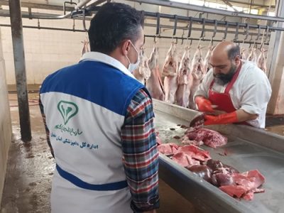 نظارت بهداشتی بر استحصال حدود ۴ هزار تن گوشت قرمز در کشتارگاه دام شهرستان مبارکه