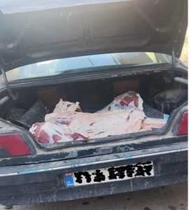 برخورد قانونی با حمل غیربهداشتی گوشت قرمز توسط خودروی سواری توسط شبکه دامپزشکی شهرستان دهاقان
