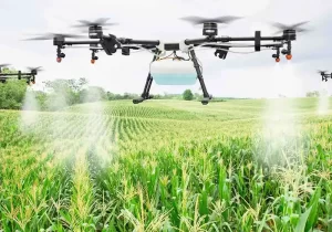 مبارزه با آفت سن غلات با استفاده از دستگاه‌های سمپاش (پهپاد و توربولاینر و پشت تراکتوری)