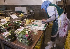 بارسنگین دغدغه های مسکن و معیشت بر دوش زنان سرپرست خانوار تحت حمایت کمیته امداد