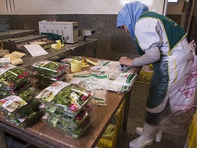 بارسنگین دغدغه های مسکن و معیشت بر دوش زنان سرپرست خانوار تحت حمایت کمیته امداد