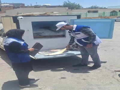 توقیف خودروی غیر مجاز حمل ماهی و معدوم سازی ۶۸۰ کیلوگرم ماهی غیربهداشتی در شهرستان نایین