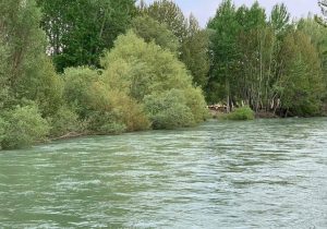 حادثه در رودخانه باغ بهادران دو‌مصدوم برجای گذاشت