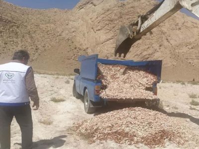 کشف بیش از دو هزار کیلوگرم پای مرغ ناسالم و غیر بهداشتی در شهرستان نطنز