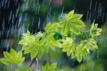 آسمان با بارش، تابستان را بدرقه میکند/ هوای خنک پاییزی در شمال اصفهان حاضری میزند