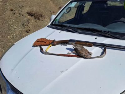 دستگیری متخلف شکار و صید در محدوده حفاظت گاه مشارکتی کوه شیر نایین