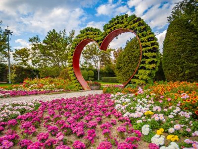 برگزاری «جشنواره گل‌های داوودی» در باغ گل‌ها