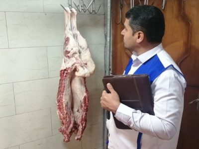 کشف و توقیف یک لاشه کشتار غیرمجاز در شهرستان لنجان