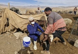 واکسیناسیون بیش از ۷۰۴ هزار نوبت سر دام سبک و سنگین در شهرستان اصفهان