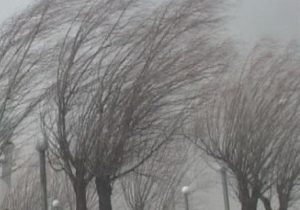 خیزش کانون‌های فرسایش بادی در برخی از مناطق استان