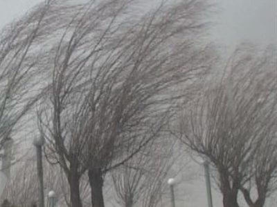 خیزش کانونهای فرسایش بادی در برخی از مناطق استان