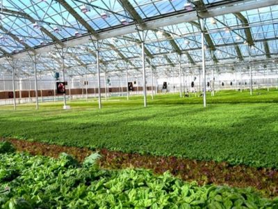 آشنایی با سازه های گلخانه ای در نمایشگاه تخصصی باغبانی اصفهان ۱۴۰۳