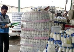 یک تن لبنیات فاسد در نایین معدوم شد